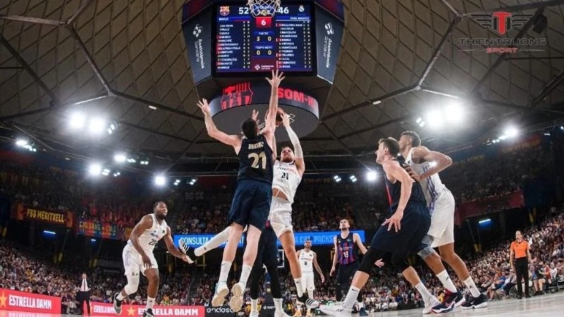 Cá cược bóng rổ – Săn thưởng khủng mỗi ngày cùng Blue88 1 Cá cược bóng rổ Blue88